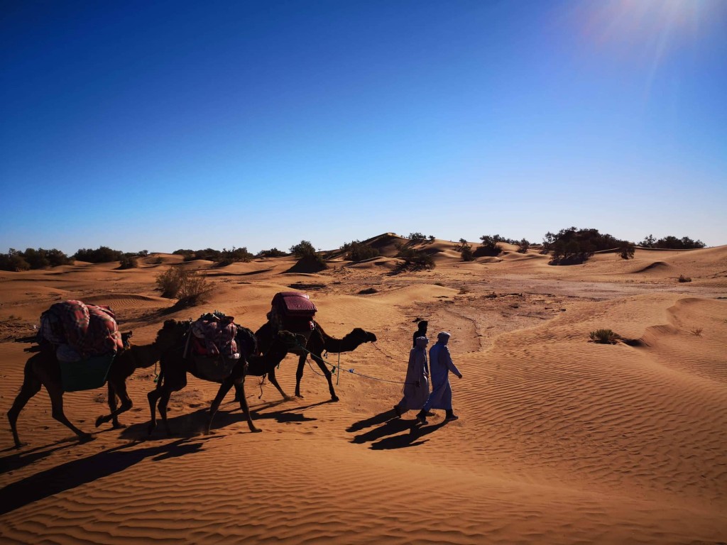 trek desert maroc