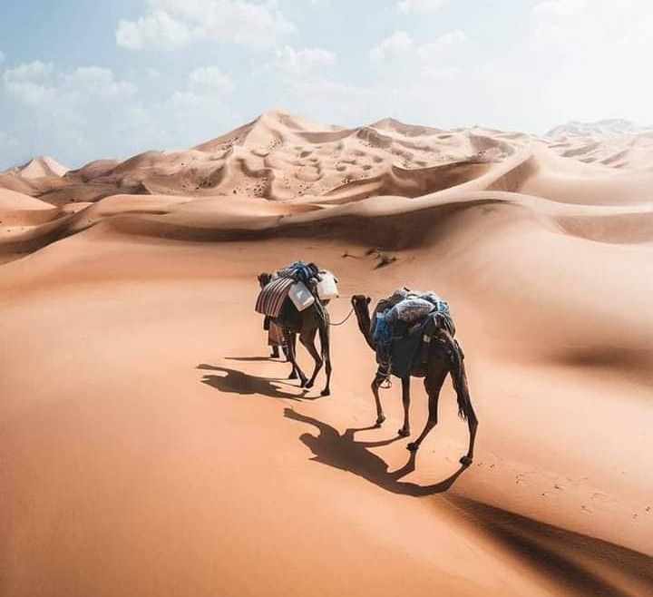 Essentiels à mettre dans son sac pour un trek dans le désert